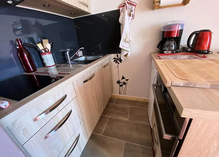 Apartment Galibier Iii - Montagnard Avec Vue Sublime, 6 Pers., Proche Des Pistes Mae-5651 Les Deux Alpes